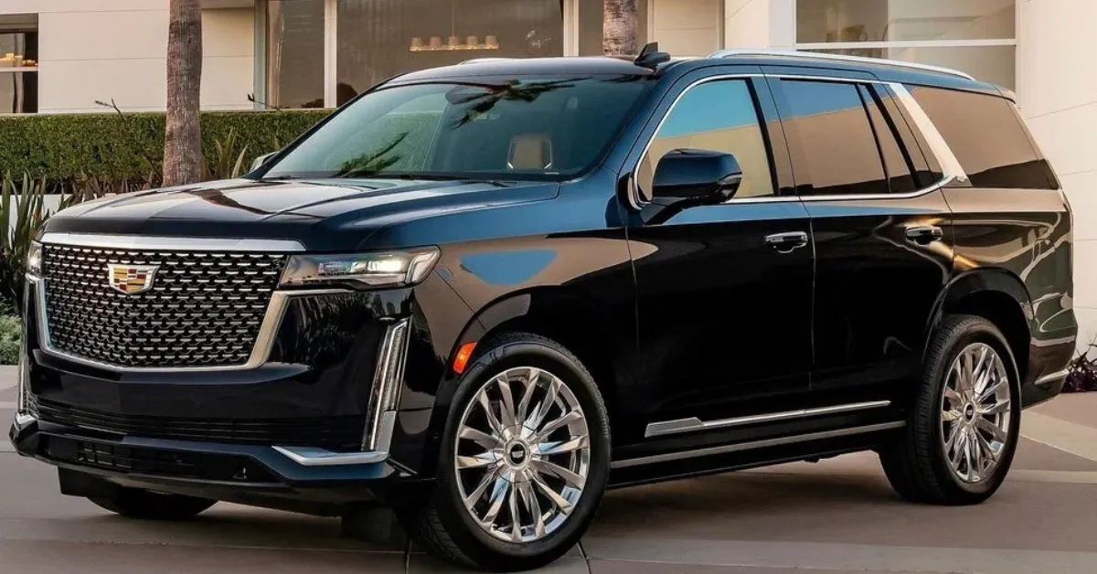 luxury transportation SUVs