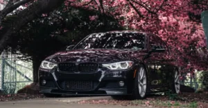 cherry blossom transportation DC